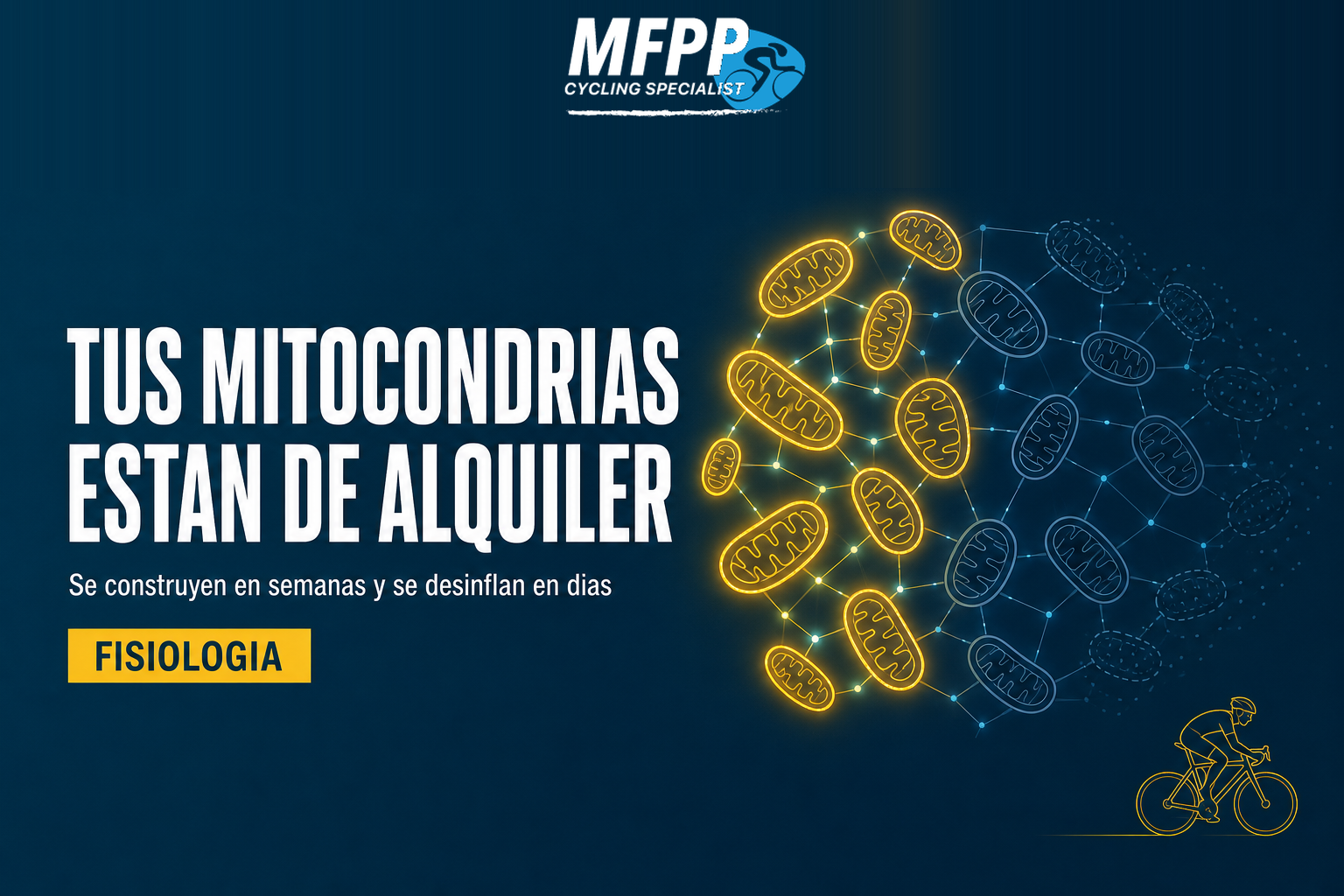 Red de mitocondrias dibujada en líneas azules, la mitad encendidas en amarillo y la otra mitad apagándose, junto a un ciclista en line-art